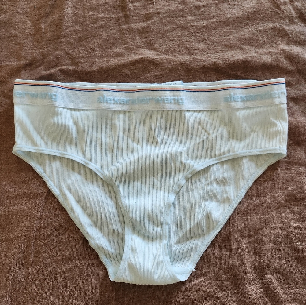 Nwot Alexander Wang Classic Logo Brief Underwear Ribbed Womens Large Light Blue